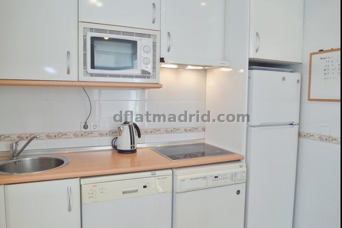 Apartamento Luminoso en Chamartin de 1 Dormitorio #747 en Madrid