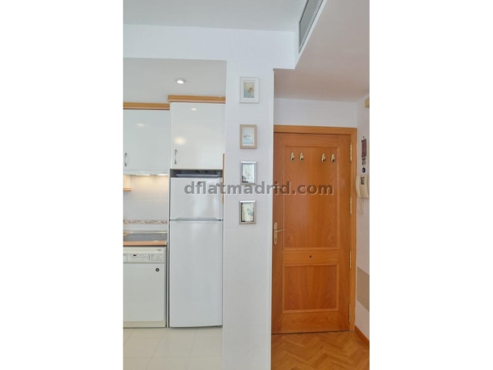 Apartamento Luminoso en Chamartin de 1 Dormitorio #747 en Madrid