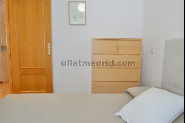 Apartamento Luminoso en Chamartin de 1 Dormitorio #747 en Madrid