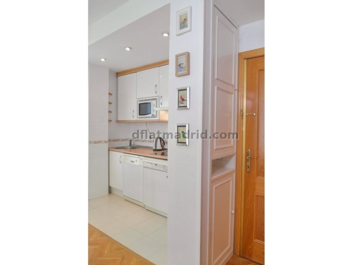 Apartamento Luminoso en Chamartin de 1 Dormitorio #747 en Madrid