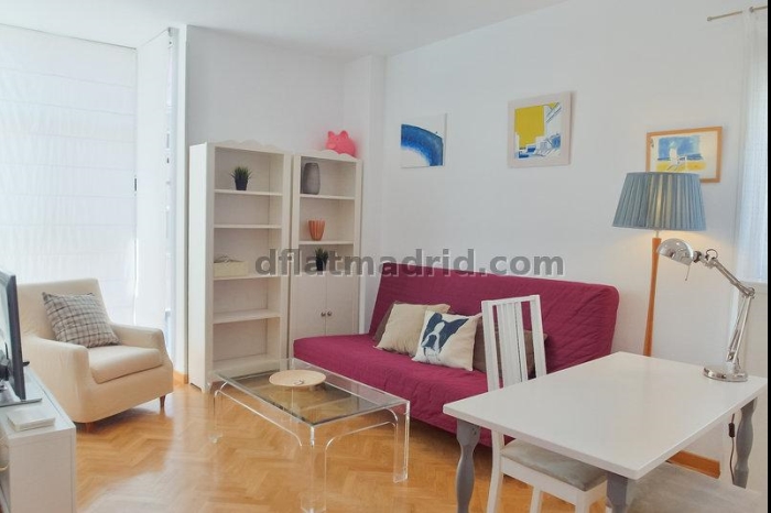 Apartamento Luminoso en Chamartin de 1 Dormitorio #747 en Madrid