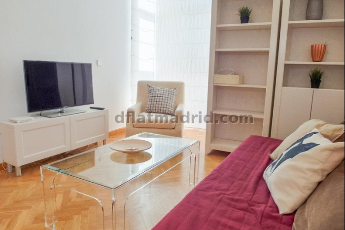 Apartamento Luminoso en Chamartin de 1 Dormitorio #747 en Madrid