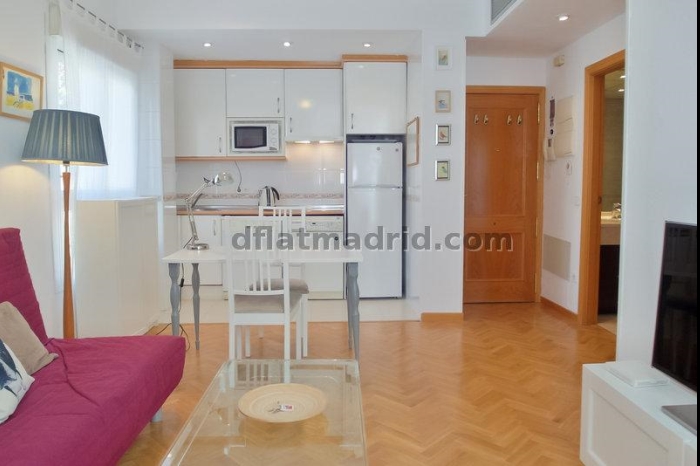 Apartamento Luminoso en Chamartin de 1 Dormitorio #747 en Madrid