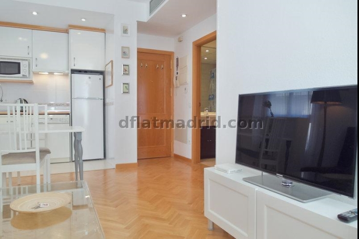 Apartamento Luminoso en Chamartin de 1 Dormitorio #747 en Madrid