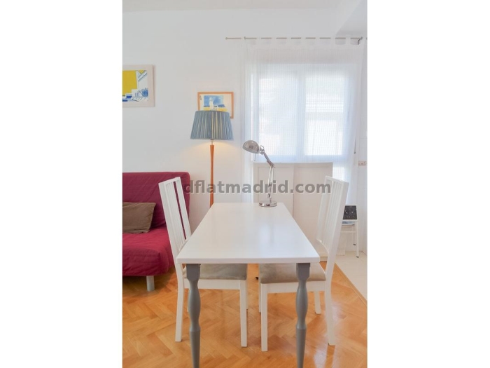 Apartamento Luminoso en Chamartin de 1 Dormitorio #747 en Madrid