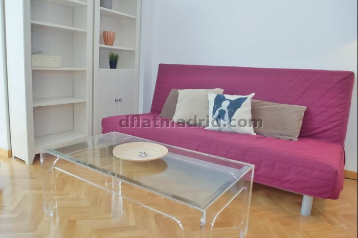 Apartamento Luminoso en Chamartin de 1 Dormitorio #747 en Madrid