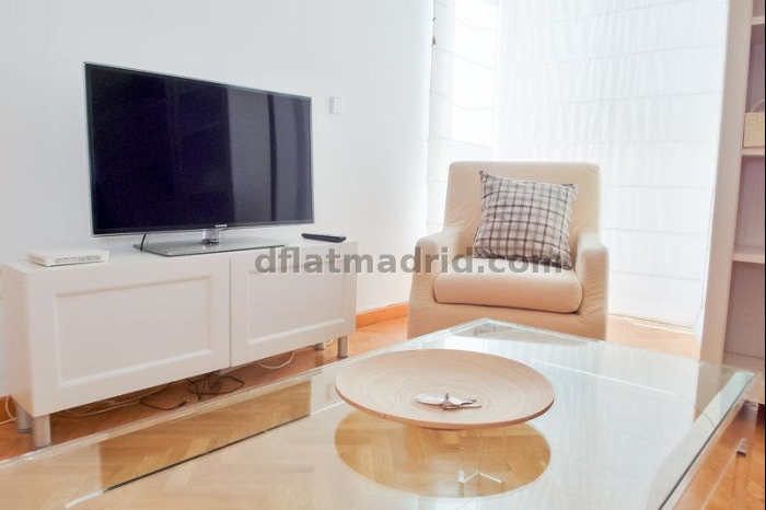 Apartamento Luminoso en Chamartin de 1 Dormitorio #747 en Madrid