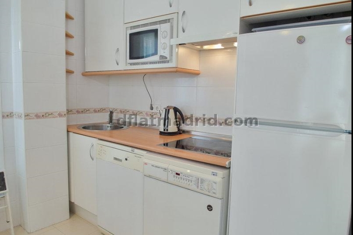 Apartamento Luminoso en Chamartin de 1 Dormitorio #747 en Madrid