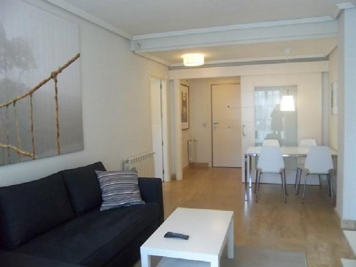 Central Apartment in Salamanca of 1 Bedroom with terrace #757 in Madrid