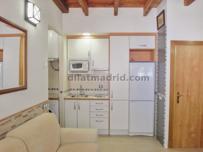 Apartamento Céntrico en Chamberi de 1 Dormitorio #780 en Madrid