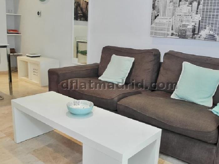 Apartamento Céntrico en Salamanca de 1 Dormitorio #808 en Madrid