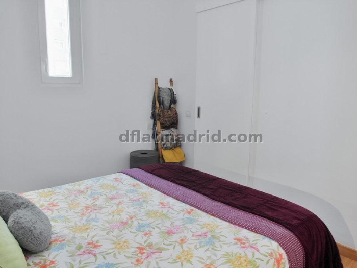 Apartamento Céntrico en Salamanca de 2 Dormitorios #811 en Madrid