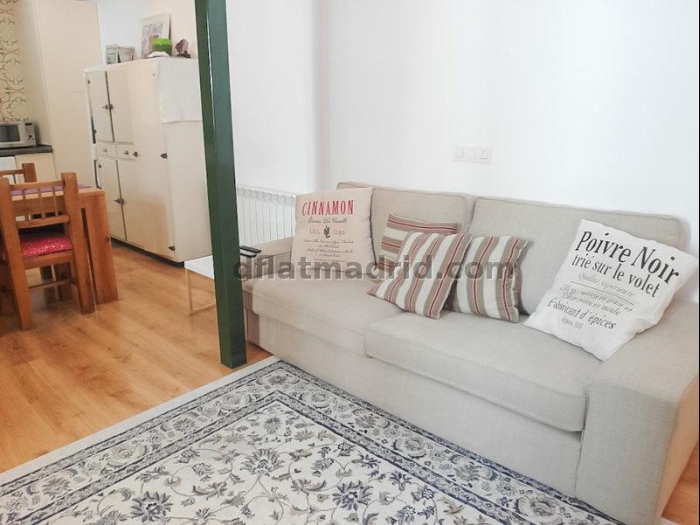 Apartamento Céntrico en Salamanca de 2 Dormitorios #811 en Madrid