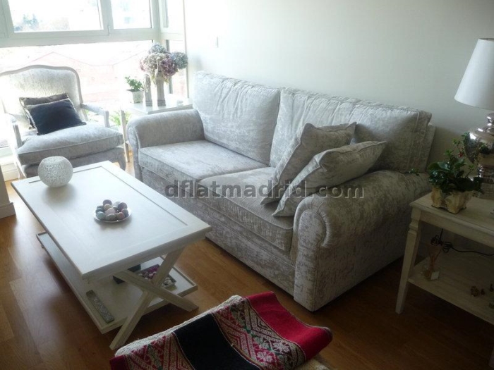 Apartamento Luminoso en Chamartin de 1 Dormitorio #904 en Madrid