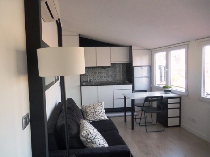 Apartamento Luminoso en Centro de 1 Dormitorio #925 en Madrid