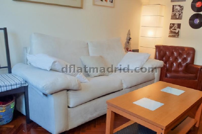 Apartamento Céntrico en Salamanca de 1 Dormitorio #933 en Madrid