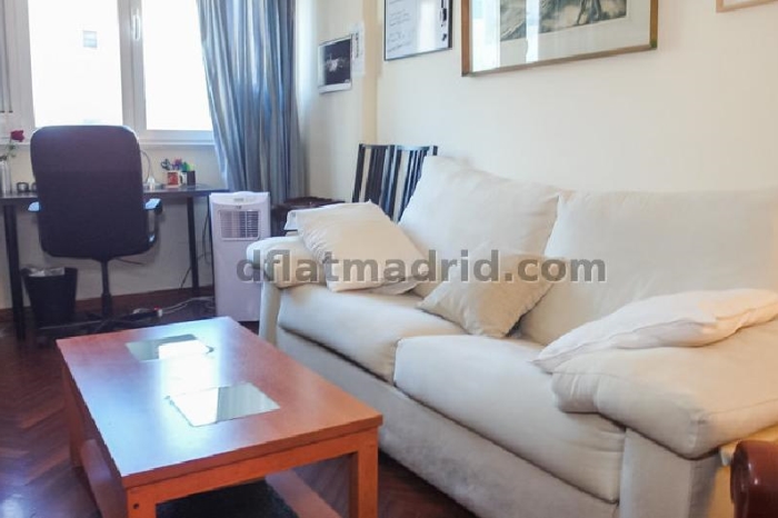 Apartamento Céntrico en Salamanca de 1 Dormitorio #933 en Madrid