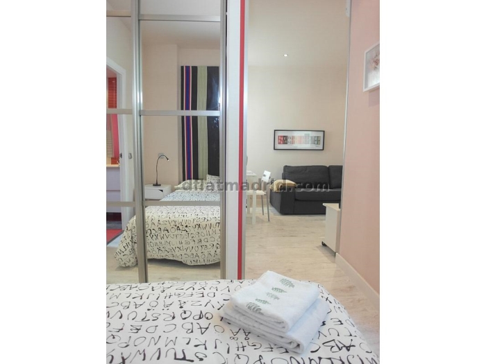 Apartamento Céntrico en Salamanca de 1 Dormitorio #948 en Madrid