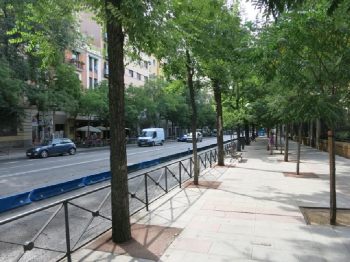 Central Apartment in Salamanca of 1 Bedroom #948 in Madrid