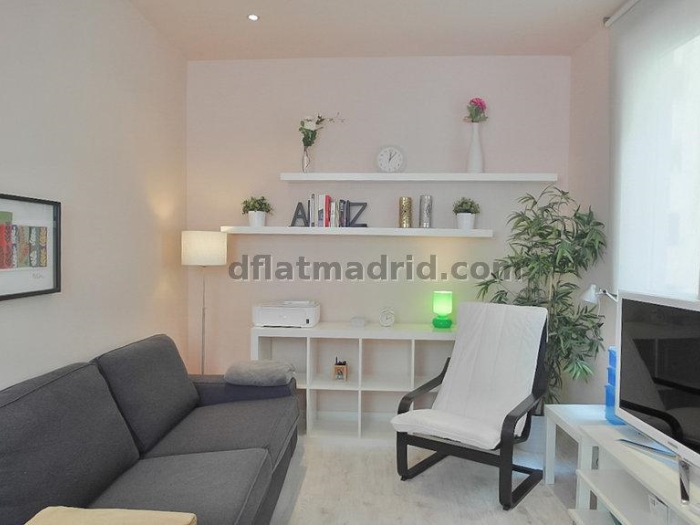 Apartamento Céntrico en Salamanca de 1 Dormitorio #948 en Madrid
