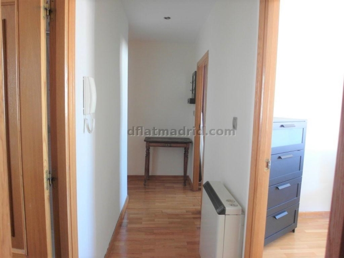 Spacious Apartment in Tetuan of 2 Bedrooms #977 in Madrid