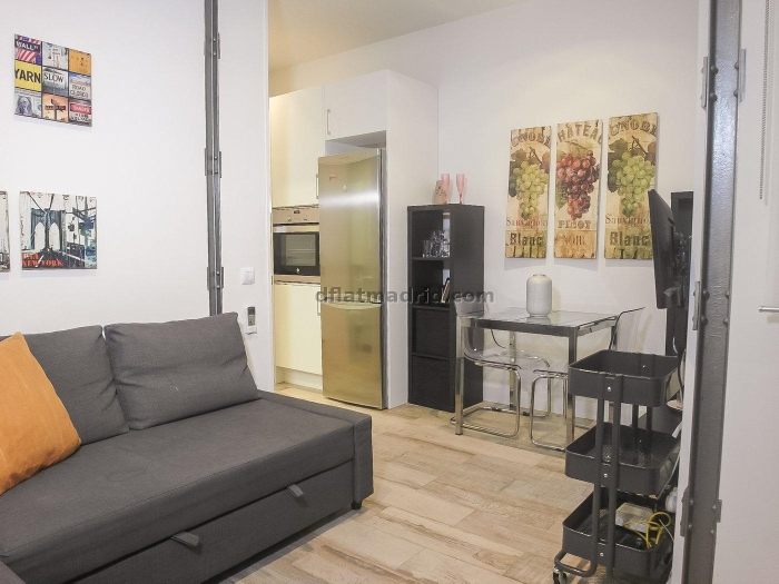 Apartamento Céntrico en Salamanca de 1 Dormitorio #1154 en Madrid