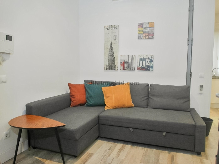 Apartamento Céntrico en Salamanca de 1 Dormitorio #1154 en Madrid