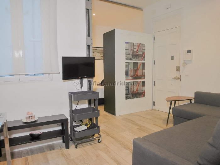 Apartamento Céntrico en Salamanca de 1 Dormitorio #1154 en Madrid