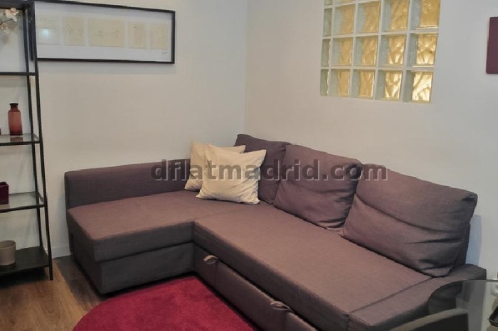 Apartamento Céntrico en Chamberi de 1 Dormitorio #1160 en Madrid