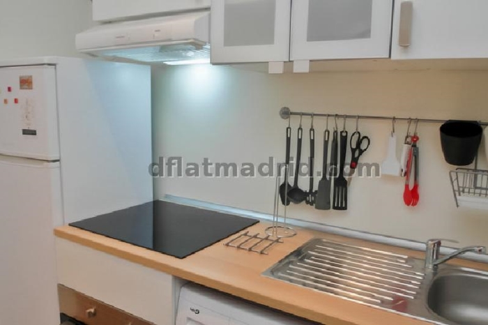 Apartamento Céntrico en Chamberi de 1 Dormitorio #1160 en Madrid