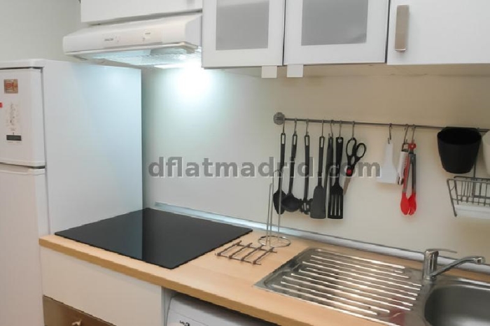 Apartamento Céntrico en Chamberi de 1 Dormitorio #1160 en Madrid