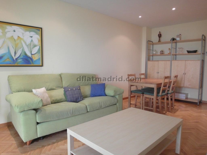 Spacious Apartment in Centro of 3 Bedrooms #1189 in Madrid