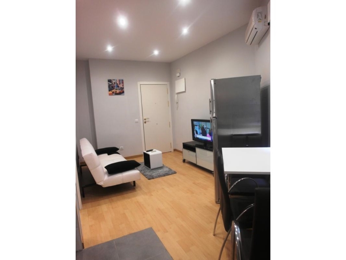 Apartamento en Chamartin de 1 Dormitorio #1218 en Madrid