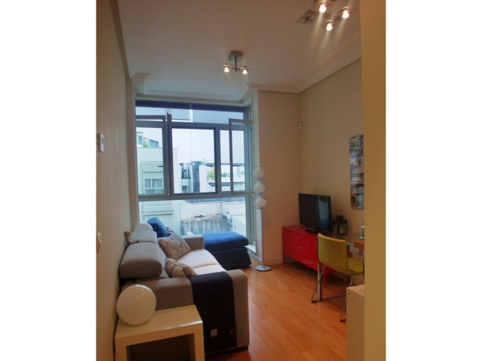 Apartamento Tranquilo en Chamartin de 1 Dormitorio #1242 en Madrid