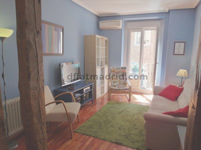 Spacious Apartment in Centro of 2 Bedrooms #1409 in Madrid