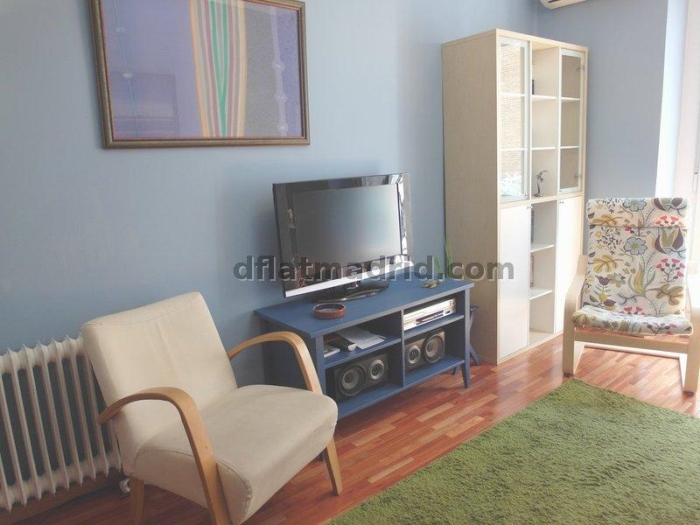 Spacious Apartment in Centro of 2 Bedrooms #1409 in Madrid