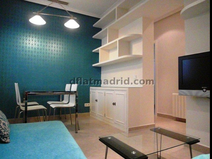 Apartamento Céntrico en Salamanca de 2 Dormitorios #1427 en Madrid