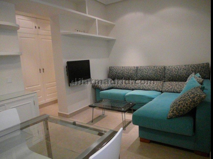 Apartamento Céntrico en Salamanca de 2 Dormitorios #1427 en Madrid