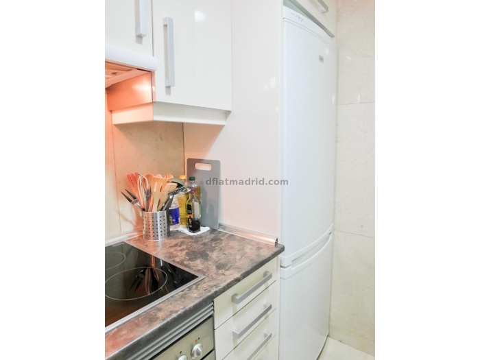 Apartamento Céntrico en Salamanca de 1 Dormitorio #1431 en Madrid