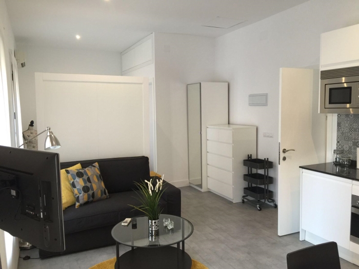 Apartamento Céntrico en Salamanca de 1 Dormitorio #1450 en Madrid