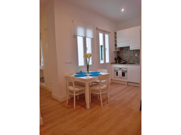 Central Apartment in Salamanca of 1 Bedroom #1453 in Madrid