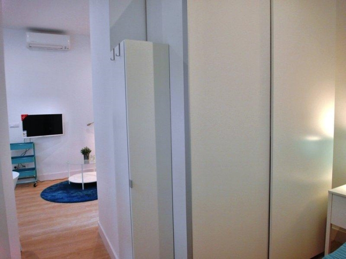 Central Apartment in Salamanca of 1 Bedroom #1453 in Madrid