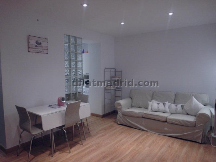 Apartamento Céntrico en Salamanca de 1 Dormitorio #1491 en Madrid