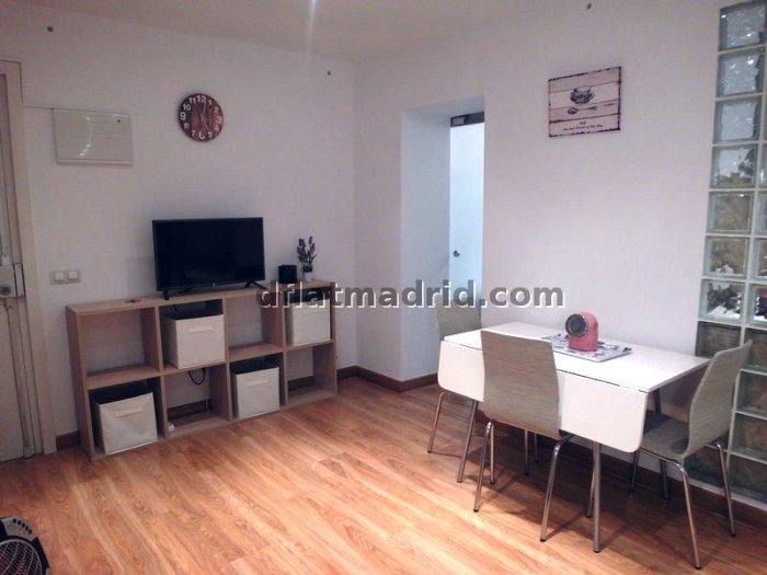 Central Apartment in Salamanca of 1 Bedroom #1491 in Madrid