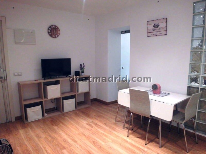 Apartamento Céntrico en Salamanca de 1 Dormitorio #1491 en Madrid