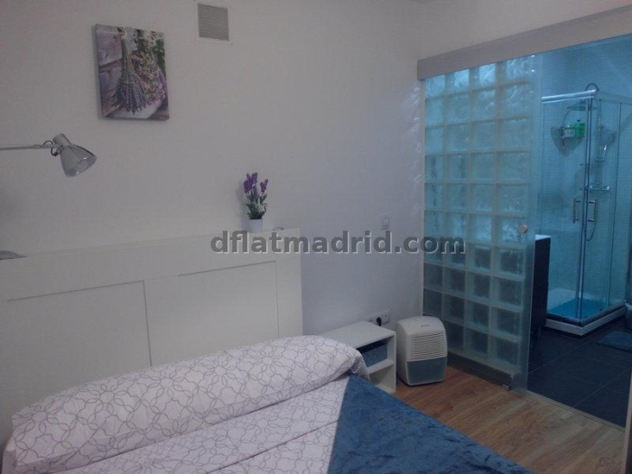 Central Apartment in Salamanca of 1 Bedroom #1491 in Madrid