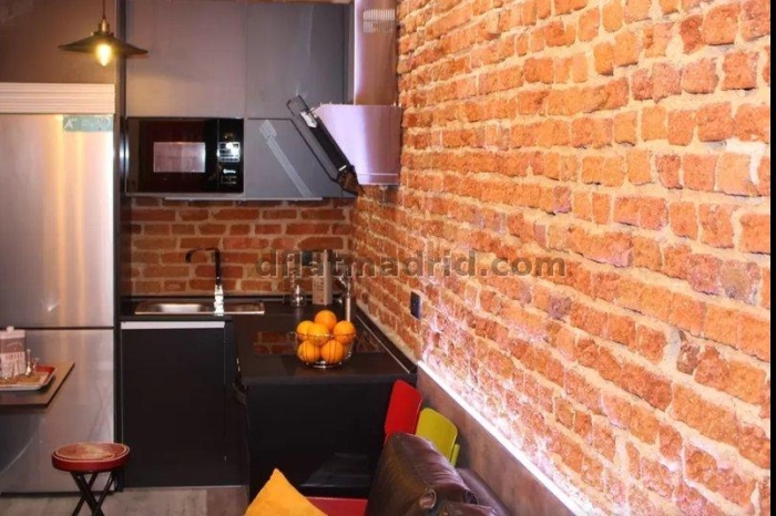 Apartamento en Centro de 1 Dormitorio #1492 en Madrid