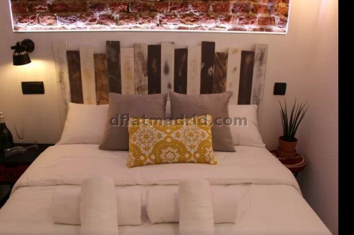 Apartamento en Centro de 1 Dormitorio #1492 en Madrid