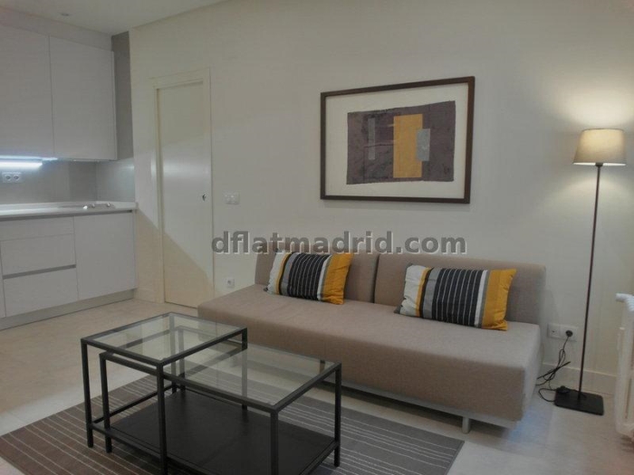 Apartamento Tranquilo en Chamartin de 1 Dormitorio #1499 en Madrid