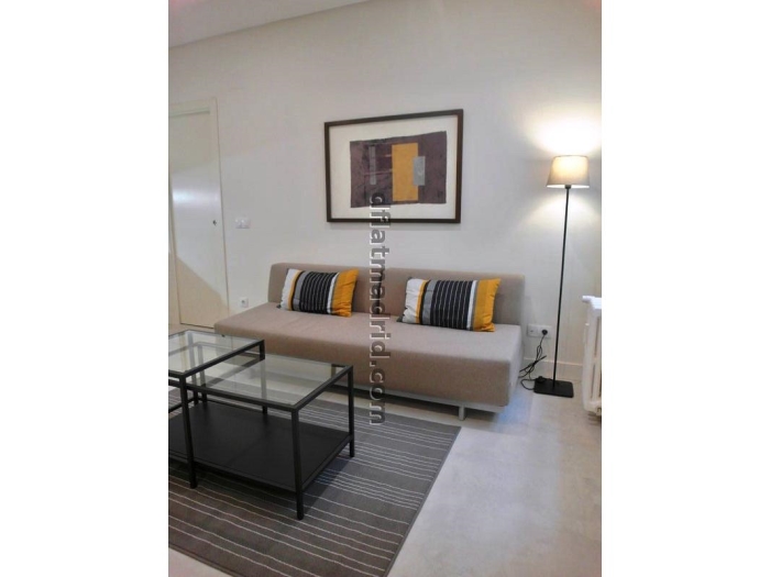 Apartamento Tranquilo en Chamartin de 1 Dormitorio #1499 en Madrid